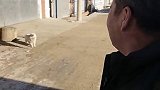 小白想我了  我的生活日记
