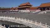 为何故宫一棵树都没有种，听完专家的解释，真佩服古人的智慧