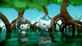 海底小纵队：小纵队给弹涂鱼找到了新的家了