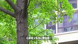 已婚女网恋骗婚盗金戒，流产后失联，犯三罪获刑，1，年半
