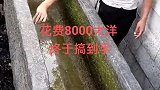 浙江农村的鱼缸，小伙花了8000，转手就赚大了！