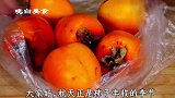 柿子酸涩不好吃怎么办？老师傅教你一招，柿子变得香甜又软糯
