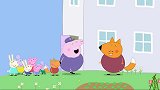 春天到了，猪爷爷和猪奶奶都有，各自呵护的小宝贝