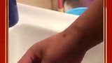 如何让河豚消气，刷刷牙，立马就消气了