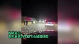 河南信阳一大桥夜晚出现不明飞虫，农业局：接到反馈，正调查