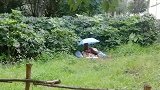 主人小区内为狗立碑搭灵堂 业主：晚上路过瘆得慌