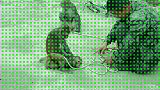 猴子骑马了。