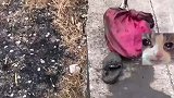 大爷骑摩托车冲进稻田，又返回扶起被压倒的秧苗