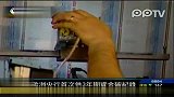 欧洲央行3年期再融资操作释出逾4000亿欧元