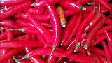 世界上最疯狂的辣椒，舔一下就会让你休克，比麻药还好用