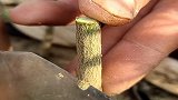 又到了万物复苏的季节了，农村高手教你如何嫁接植物，学着备用吧