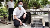 猫：不吃不喝5天了，你咋才来啊！