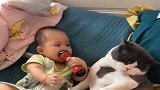 宝宝跟猫咪躺一起，看到这滑稽的一幕，亲妈都笑了