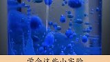 奇妙小实验