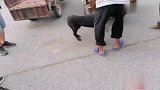 主人要把狗卖给狗肉贩子，狗狗知道要被卖，反咬主人一口