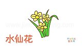 植物简笔画大全，画水仙花简笔画