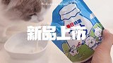 猫咖撸猫我的新品试吃官们