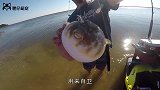 男子给河豚吸烟，河豚一口气吸完一根烟，下一秒意外发生了