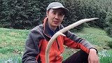 路边捡到的鹿角，拿在手中，心中感觉沉甸甸
