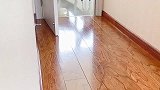 狗狗想喝饮料，主人没钱买，下一秒它的做法真逗