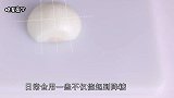 洋葱被称为“降糖王”，但是吃的时候一定不要加它，小心慢性中毒