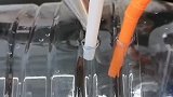 瓶子插两根吸管全家抢着用，看完视频的你学会怎么做了吗