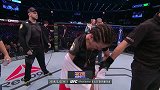 UFC-15年-UFC193：女子草量级冠军战耶德尔泽西克vs莱图尔诺集锦-精华