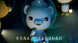 海底小纵队：小纵队听到有动静，突然窜出去，不料竟撞到了一起！