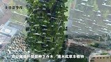 3种不同寻常的房屋，原来房子还能这样建，给设计师的脑洞跪了