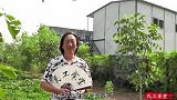 工地伙食严重超标，民工兄弟2个馒头吃11个菜，老板疯了吗！