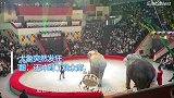 俄罗斯马戏团一大象突然发狂，把另一只大象打翻，还冲到了观众席