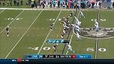 NFL-1617赛季-常规赛-第12周-牛顿本周高光表现集锦-专题