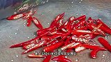 鲜辣鲜麻的非遗美食尖椒鸡，做法超简单，一口吃出春天的味道！