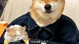下次不能来了，这得技师太狗了