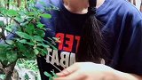 没人给我拍视频