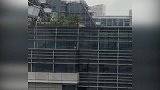 刀下逃生后受困23楼外7天 硬核母鸡坠落1楼奇迹生还