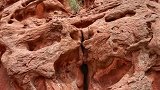 蜂巢山〽️奇石红峡谷〽️特步探险景观
