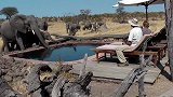 大象母子被狮群围攻，目标竟然是小象，下一秒意外发生！