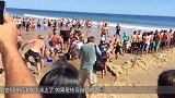 大鲸鱼被搁浅在沙滩上，众人齐心协力帮助鲸鱼，让它回大海