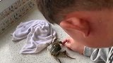 被螃蟹夹手，让它冷静一下