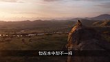 鳄鱼偷袭过河的狮子，鳄鱼使出死亡翻滚，任它撕咬成这样！