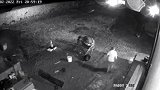 爱尔兰一只宠物狗在自家花园遭狐狸捕食 主人及时营救