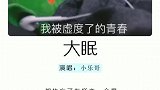 大眠带上耳机静静的听