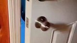 社恐黑熊开门进居民家里