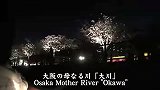 旅游-日本大阪夜赏樱花