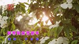 山歌情缘山歌《阿哥阿妹贺新年》群星贺岁，牛年吉祥