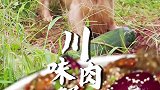 家乡一半烟火，一半清欢