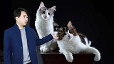 这么穷？肖战照片被恶意P成CP图，并高价售出给小飞侠？