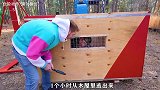在高空中挑战坚硬的箱子，只要逃出去就有万美金