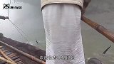 村民河边发现奇怪生物，行动缓慢全身黝黑，村里老人说是灾物